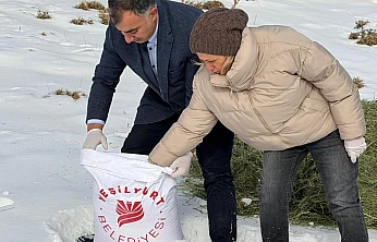 Yeşilyurt Belediyesi'nden Yaban Hayatına Yem Desteği!