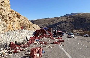 Yüzlerce Tavuk Telef Oldu, Sürücü Yaralandı: Akçadağ'da Kaza