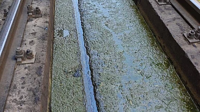 Malatya Tren Garı'nda Hijyen Skandalı: Kokudan ve Sinekten Geçilmiyor