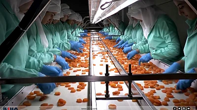 MTB Başkanı Özcan: Zirai Dona Rağmen İhracat Geliri 377 Milyon Doları Aştı