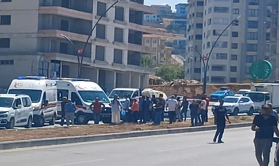 Kamyonet Aydınlatma Direğine Çarptı: 2 Yaralı
