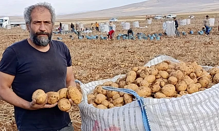 Başdirek Patatesi 6 Ay Raf Ömrüyle Talep Görüyor