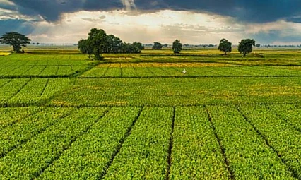Bir milyar 46 milyon liralık tarımsal destek ödemeleri çiftçinin hesabına yatırılacak