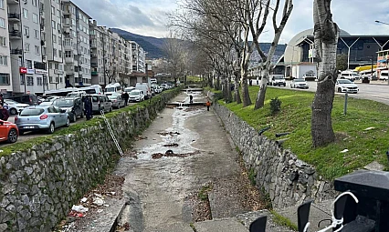 Bursa'da dere içinde erkek cesedi bulundu