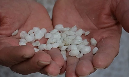 Eşkina Balığı Taşı Mucizesi