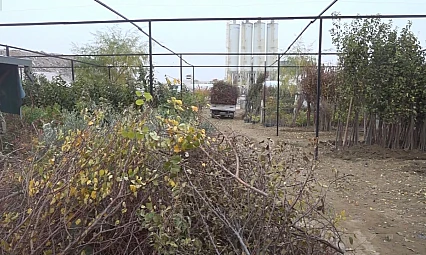 Fidancılar Krizde: Her Firma 100 Bin Fidanını Kaybetti