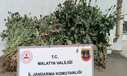 Malatya'da 18'i Kesinleşmiş Hapis Cezası Bulunan 30 Kişi Yakalandı