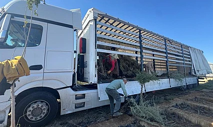 Malatya Kırsalı İçin Büyük Adım: 2 Milyon Fidanlık Mera Projesi Devrede