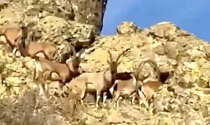 Vali Seddar Yavuz: 'Doğal Zenginliklerimizi Geleceğe Aktarmalıyız'