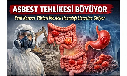 Yeni Bilimsel Rapor: Asbestin Etkisi Sindirim Sistemine Kadar Uzandı