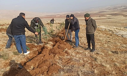 Yeniköy Mahallesi'nde 3 Bin Fidanlık Yeşil Atılım