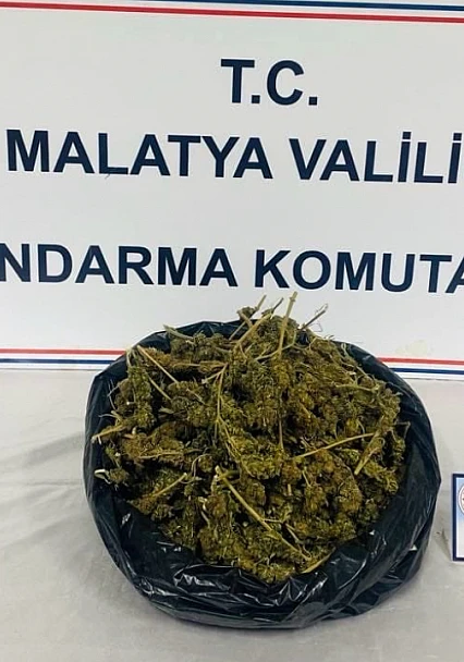 Jandarma Malatya'da Büyük Operasyon Düzenledi, 1,5 Kilo Esrar Ele Geçirildi