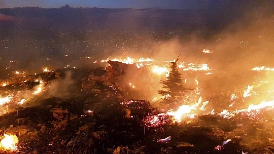 Acar, Sevdiklerinizin Canını Yakmayın