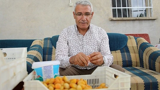 Ulusal Battalgazi Kayısı Hasadı Fotoğraf Yarışması Maratonu Sonuçlandı