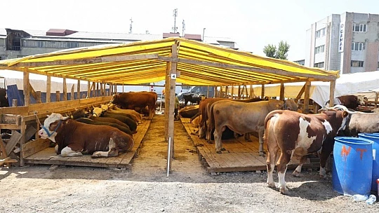 2020 Yılı Kurban Uygulanmasına Dair Tebliğ Yayımlandı