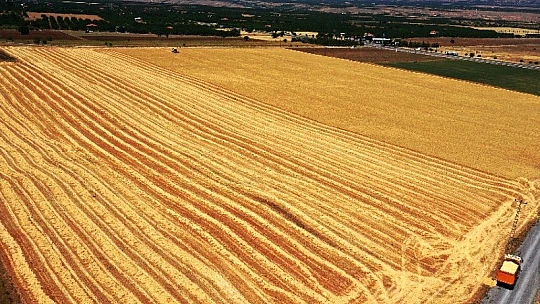 Çınar, Tarımsal Vizyonumuzu Örnek Projelerle Geliştiriyoruz
