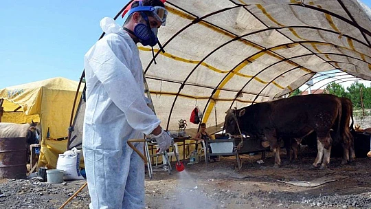 2020 Yılı Kurban Uygulanmasına Dair Tebliğ Yayımlandı