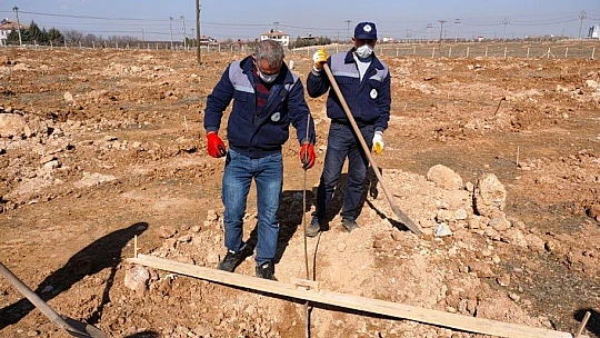 Yeşilyurt Belediyesi, Gündüzbey Ve Fatih Mahallelerine 'Kiraz Ve Vişne Bahçesi' Kuruyor