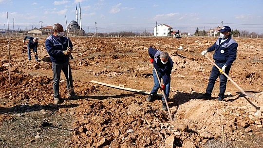 Yeşilyurt Belediyesi, Gündüzbey Ve Fatih Mahallelerine 'Kiraz Ve Vişne Bahçesi' Kuruyor