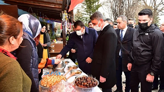 2. Kayısı Çiçeği Şenlikleri Başladı