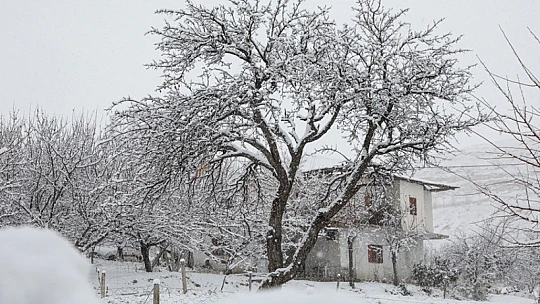 Malatya'da Kar Yağışı Etkili Oldu