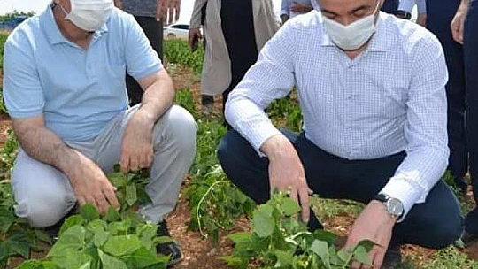 Yeşilyurt Belediyesi Tarımsal Hizmetlerde Büyük Bir Mesafe Kat Etti