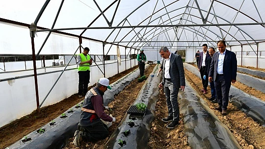 Çınar, 15 Ayda 21 Bin 225 Kilo, Yerli Ürün Hasadı Yaptık