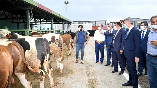 Hayvan Pazarı Kesimhanelerinde Monoray Sistemine Geçildi