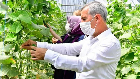 Çınar, Yeşilyurt Kadın Girişimi Ve İşletme Kooperatifi Üyelerini Sera Alanında Ağırladı