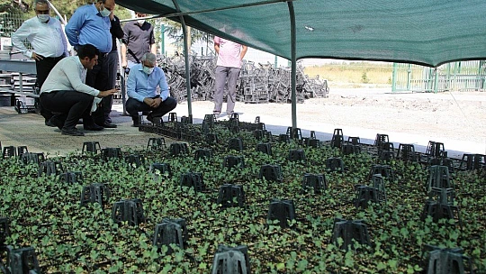 Battalgazi Belediyesi İlçeyi Güzelleştiriyor