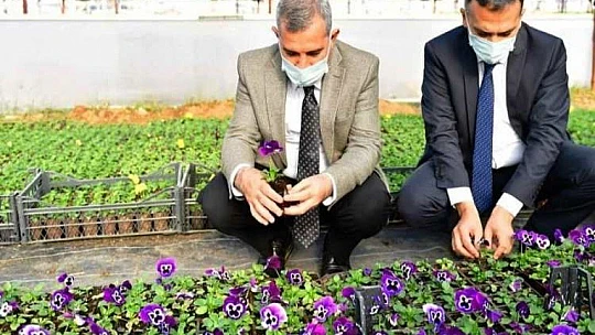 Başkan Çınar, Mevsimlik Çiçekleri Millet Bahçesinde Toprakla Buluşturdu