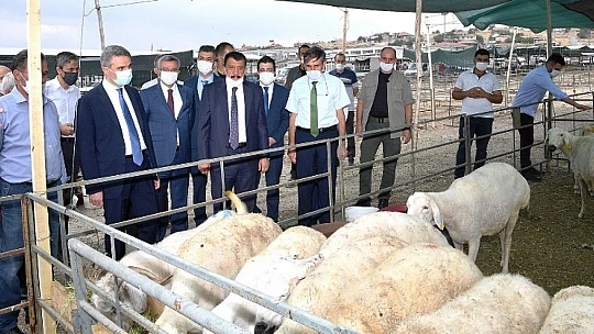 Hayvan Pazarı Kesimhanelerinde Monoray Sistemine Geçildi