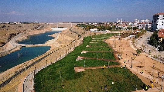 Çevkor Dergisinden Millet Bahçesine 750 Adet Toros Sediri Hediyesi