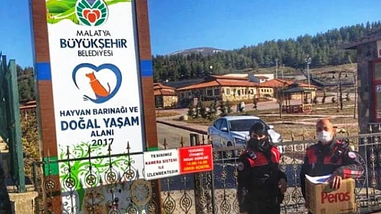 Kanadı Kırık Serçe'ye Müdahale