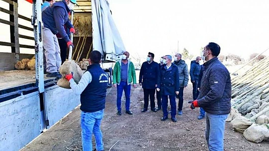 Çınar, Daha Yeşil, Daha Güzel Bir Yeşilyurt İçin Çalışıyoruz