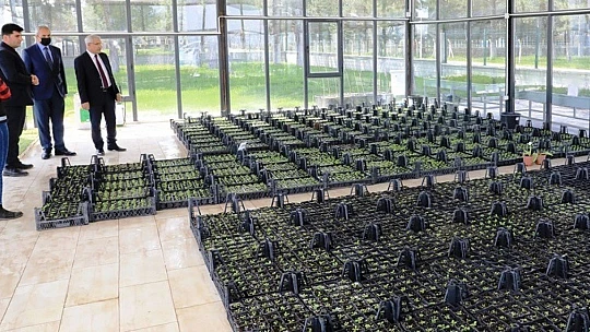 Başkan Güder, Her Mevsimde İlçemizin Güzelliğine Güzellik Katıyoruz