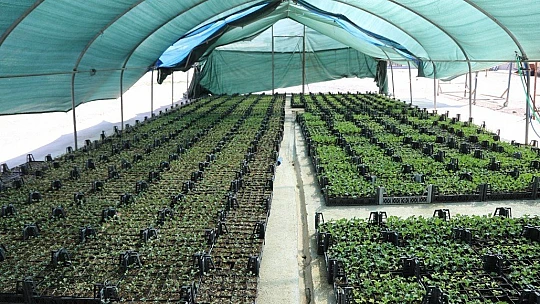 Battalgazi Belediyesi İlçeyi Güzelleştiriyor