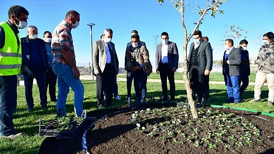 Başkan Çınar, Mevsimlik Çiçekleri Millet Bahçesinde Toprakla Buluşturdu