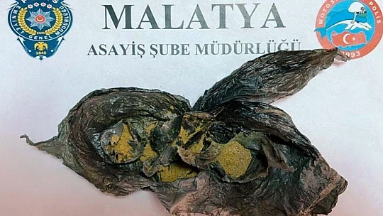 Malatya'dan Asayiş Haberleri
