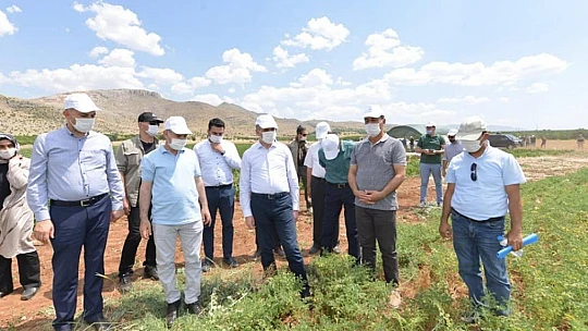 Yeşilyurt Belediyesi Tarımsal Hizmetlerde Büyük Bir Mesafe Kat Etti