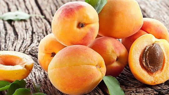 Tarihi Ana Şahitlik Edenlere Malatya Kayısısı İkram Edeceğiz