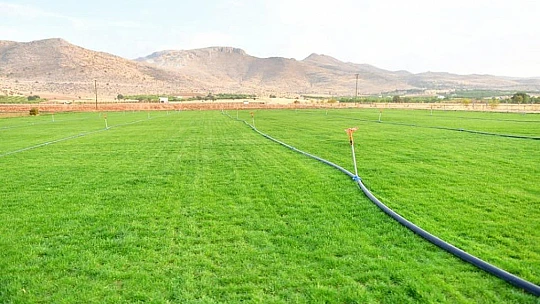 Çınar, Tarımsal Üretimlerde İlkleri Gerçeğe Dönüştürüyoruz