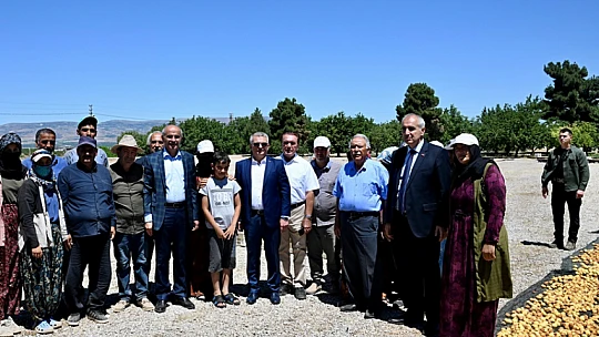 Malatya'da Kayısı Hasadı Başladı