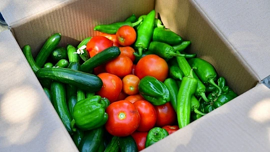 Zor Günlerimizi Paylaşarak Atlatacağız