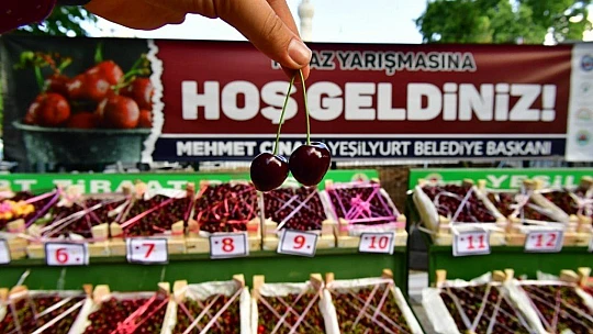 Yeşilyurt Belediyesi, Gündüzbey Ve Fatih Mahallelerine 'Kiraz Ve Vişne Bahçesi' Kuruyor