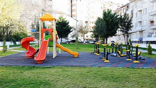 25 Bin Kök Süs Bitkisinin Dikimi Yapılıyor