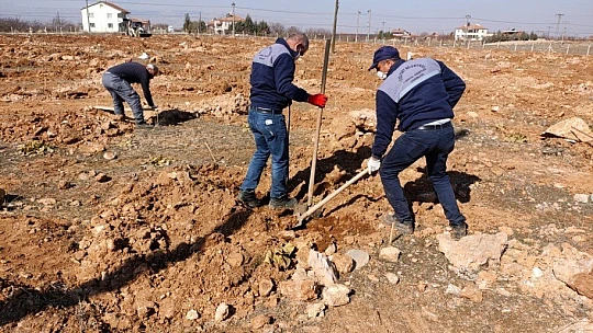 Yeşilyurt Belediyesi, Gündüzbey Ve Fatih Mahallelerine 'Kiraz Ve Vişne Bahçesi' Kuruyor