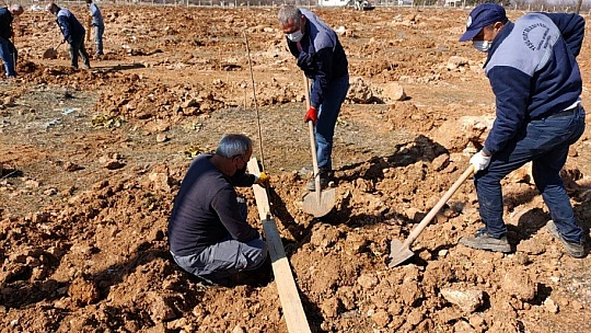 Yeşilyurt Belediyesi, Gündüzbey Ve Fatih Mahallelerine 'Kiraz Ve Vişne Bahçesi' Kuruyor