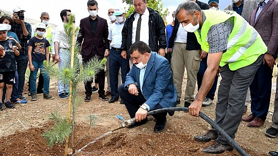 Babalar Günü Hatıra Ormanı'nda Fidanlar Toprakla Buluştu