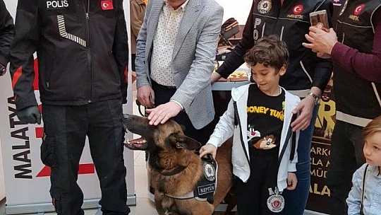 Başka Yol Yok, Uyuşturucuya Geçit Yok...